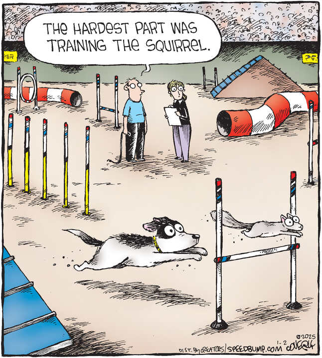 Speed Bump for Jan 02, 2025