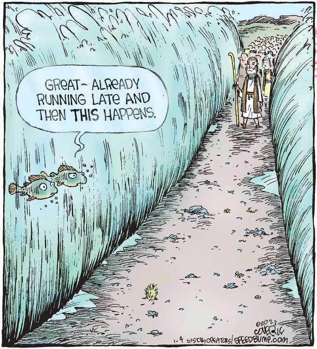 Speed Bump for Jan 04, 2023