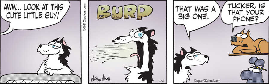 Dogs of C-Kennel for Jan 04, 2024