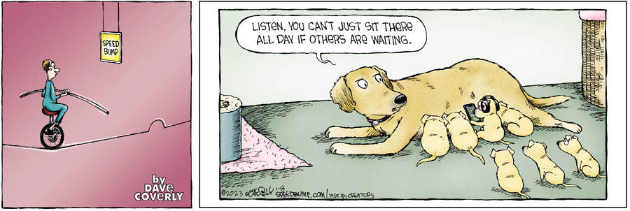 Speed Bump for Jan 08, 2023