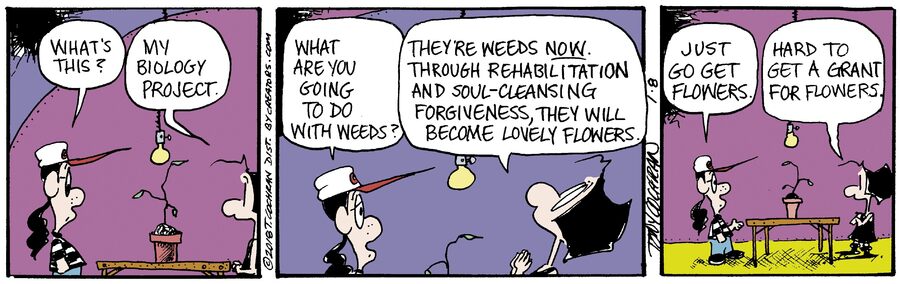 Agnes for Jan 08, 2024