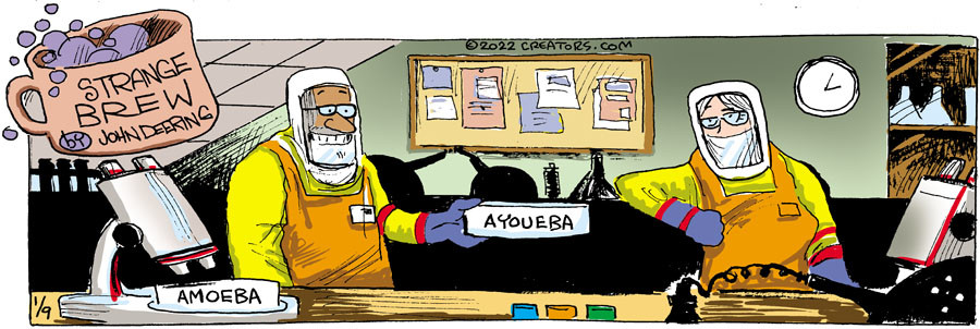 Strange Brew for Jan 09, 2022