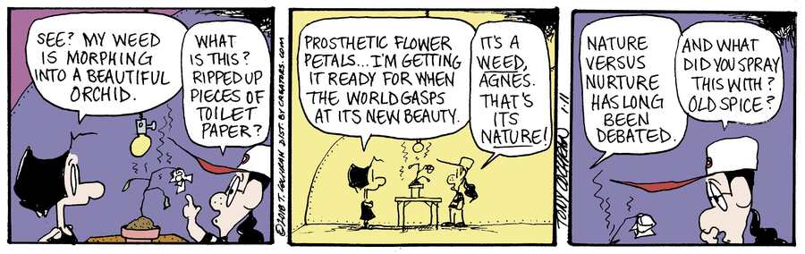 Agnes for Jan 11, 2024