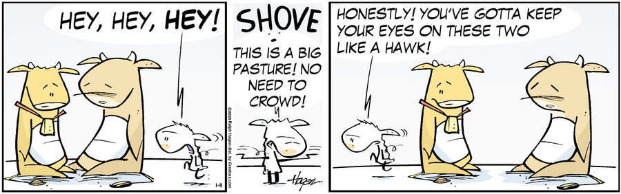 The Barn for Jan 11, 2025