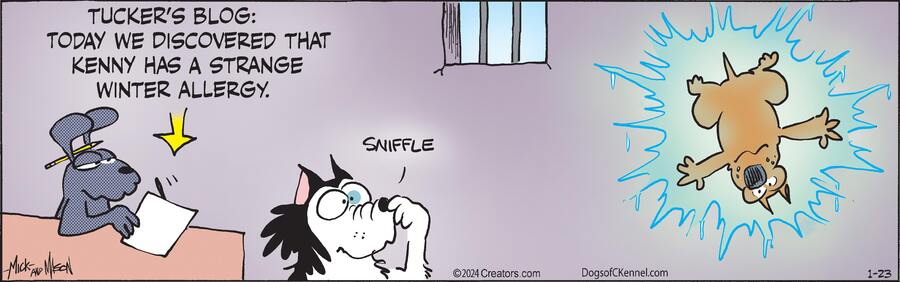 Dogs of C-Kennel for Jan 23, 2024