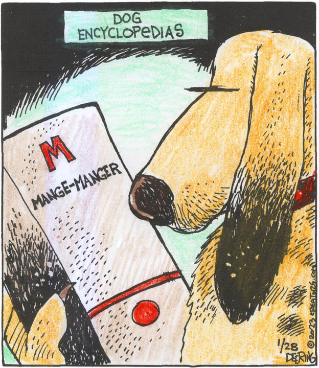 Strange Brew for Jan 28, 2023