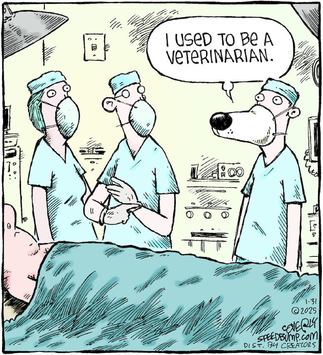 Speed Bump for Jan 31, 2025