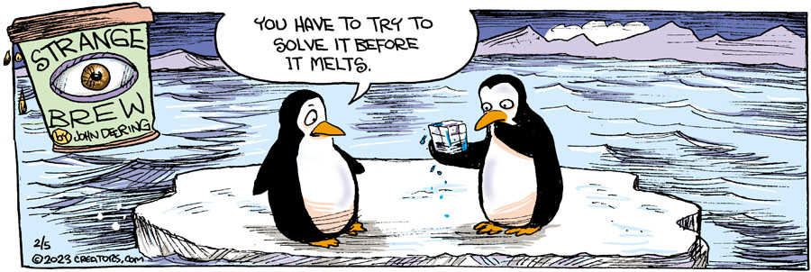 Strange Brew for Feb 05, 2023