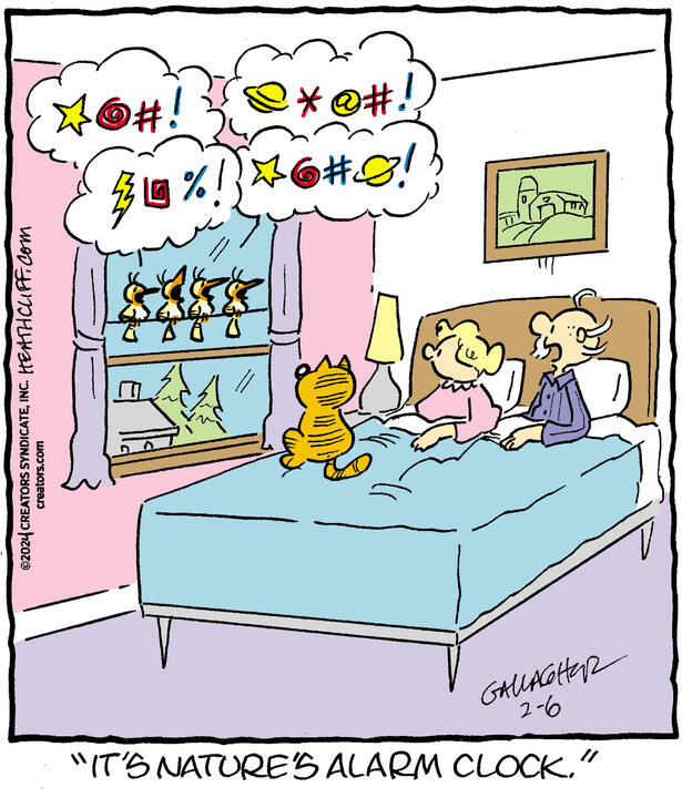 Heathcliff for Feb 06, 2024