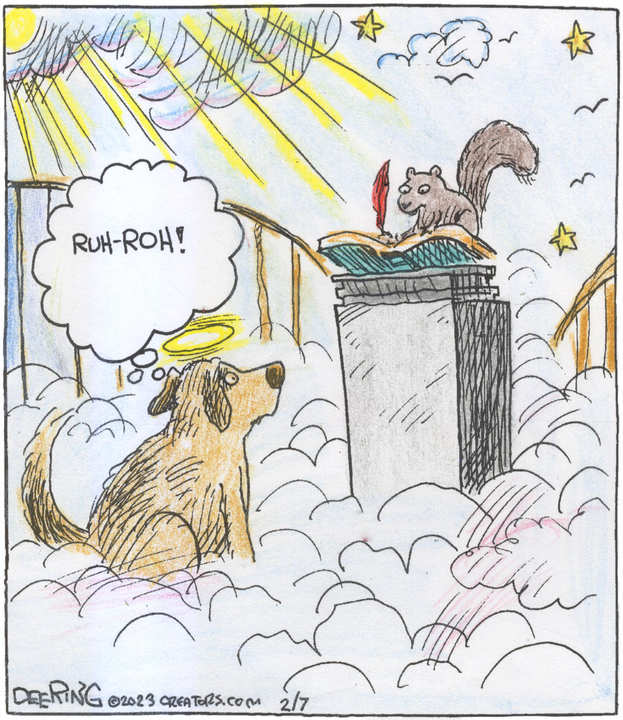 Strange Brew for Feb 07, 2023