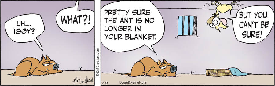 Dogs of C-Kennel for Feb 09, 2024