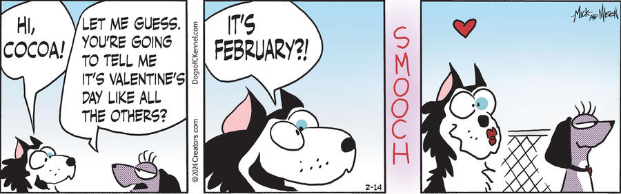 Dogs of C-Kennel for Feb 14, 2024