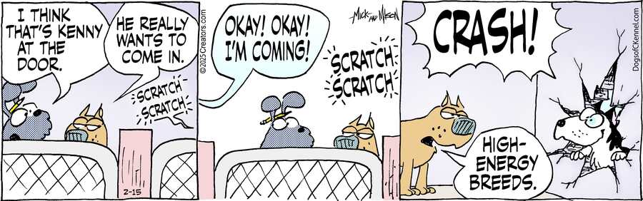 Dogs of C-Kennel for Feb 15, 2025