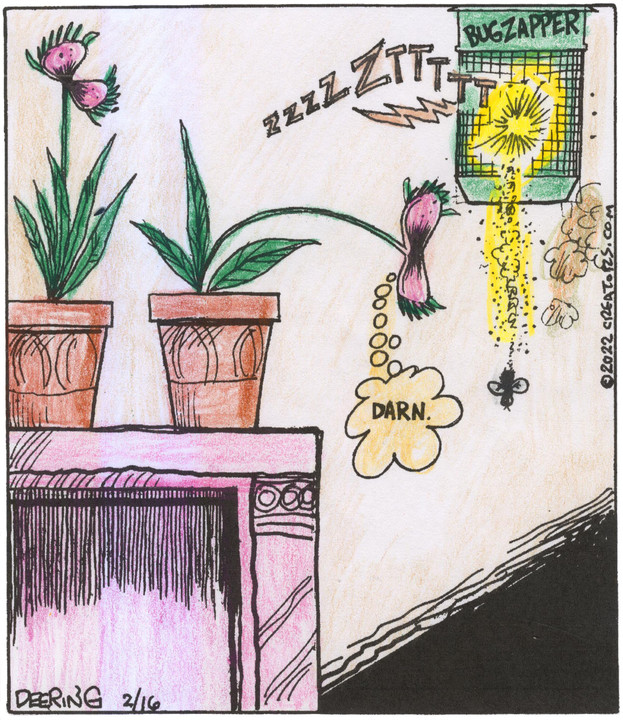 Strange Brew for Feb 16, 2022