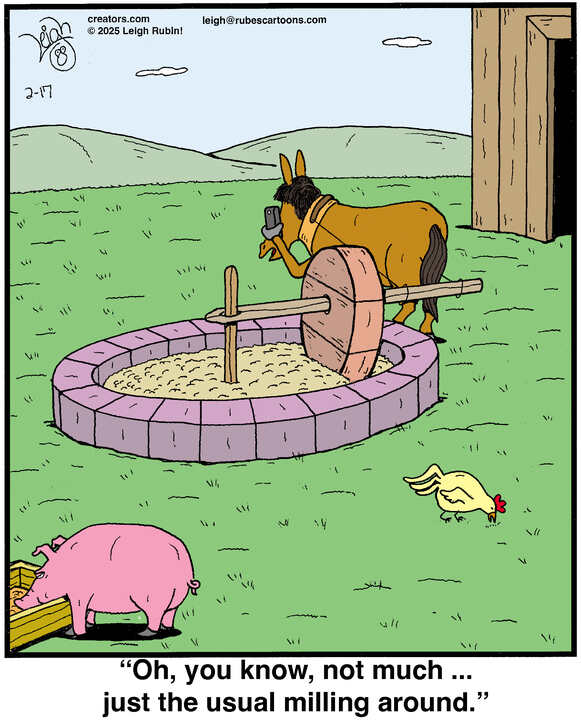 Rubes® for Feb 17, 2025