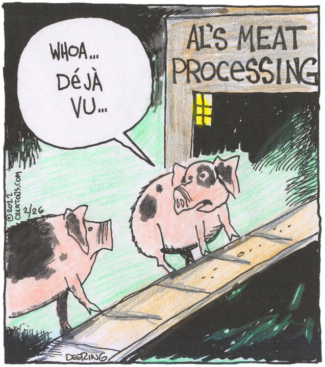 Strange Brew for Feb 26, 2022