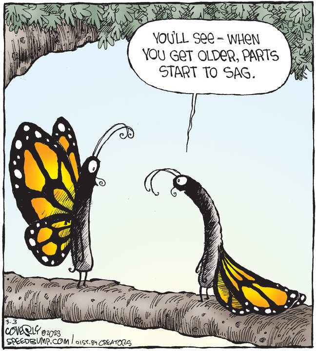 Speed Bump for Mar 03, 2023