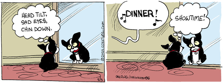 Zack Hill for Mar 03, 2025