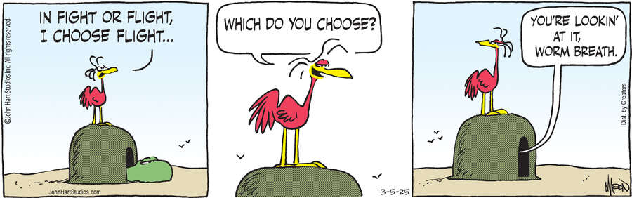 B.C. for Mar 05, 2025