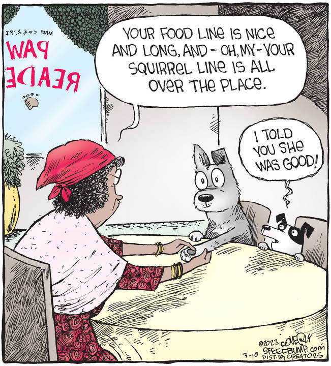 Speed Bump for Mar 10, 2023