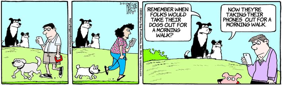 The Other Coast for Mar 11, 2025