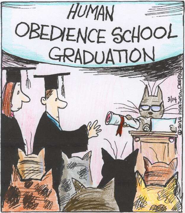 Strange Brew for Mar 14, 2024