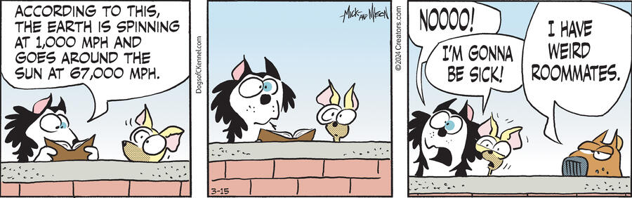 Dogs of C-Kennel for Mar 15, 2024