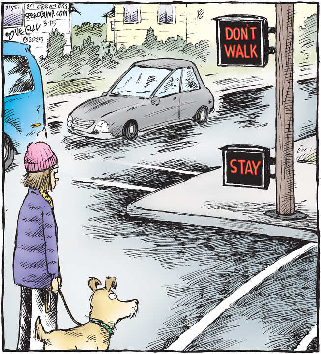 Speed Bump for Mar 15, 2025