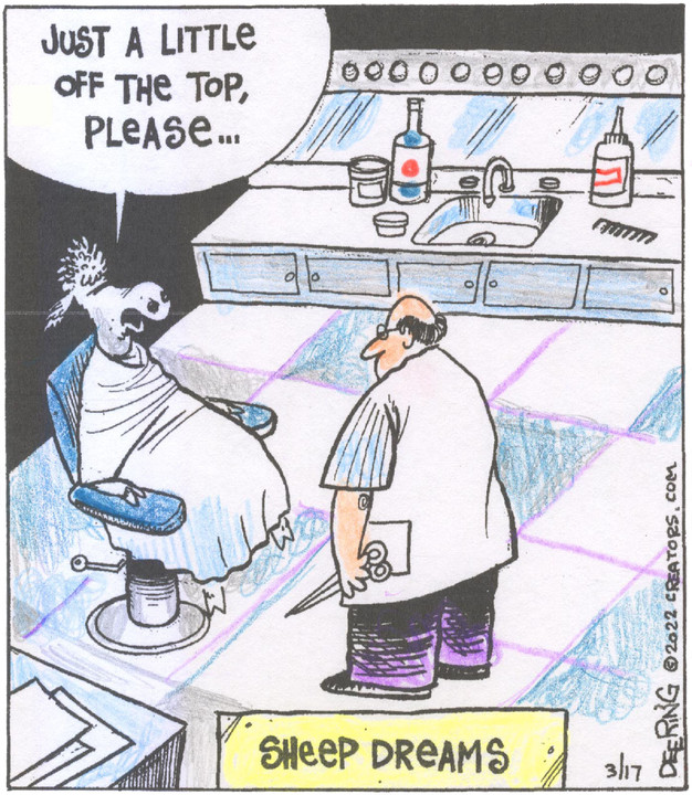 Strange Brew for Mar 17, 2022