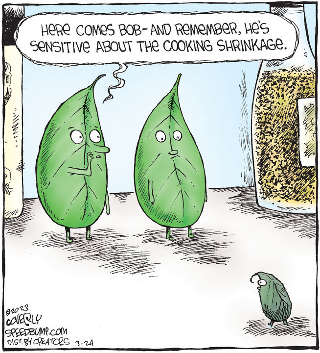 Speed Bump for Mar 24, 2023