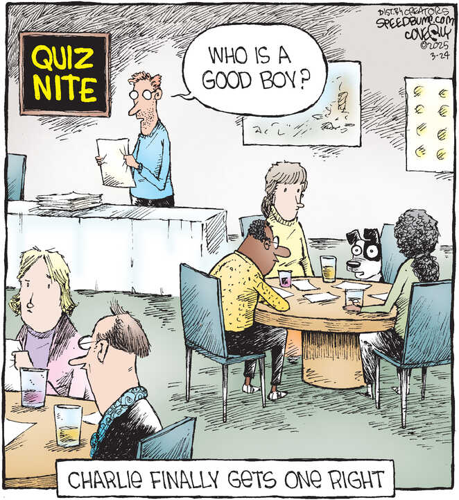 Speed Bump for Mar 24, 2025