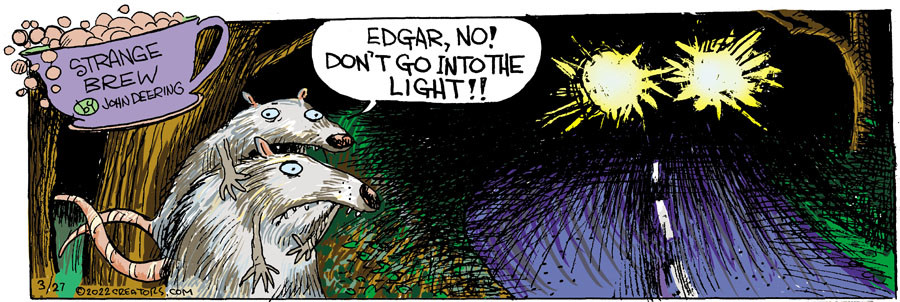 Strange Brew for Mar 27, 2022