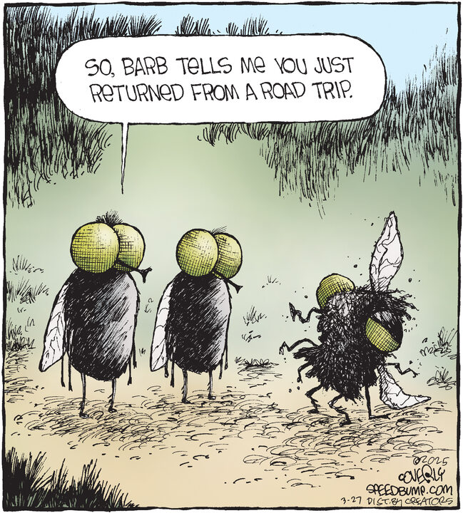 Speed Bump for Mar 27, 2025