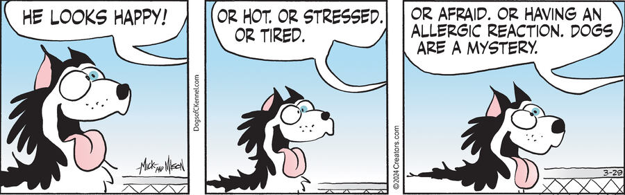 Dogs of C-Kennel for Mar 29, 2024