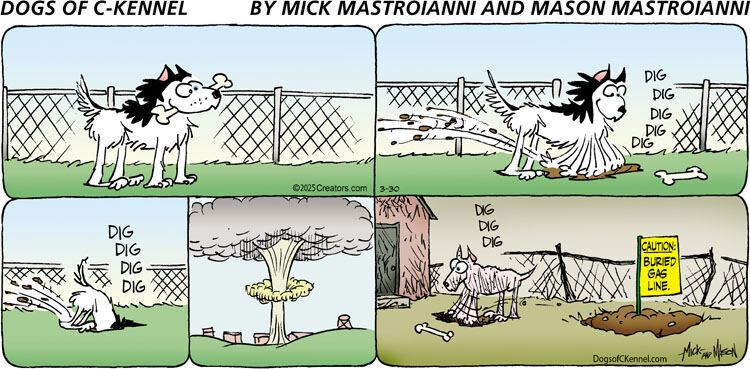 Dogs of C-Kennel for Mar 30, 2025