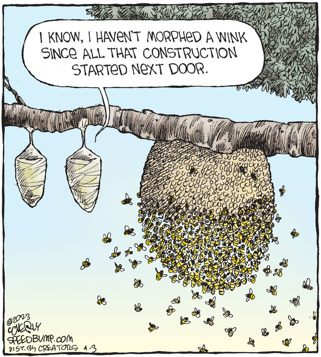 Speed Bump for Apr 03, 2023