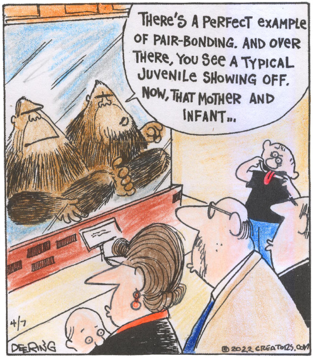 Strange Brew for Apr 07, 2022