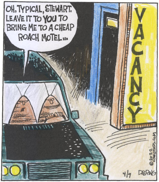 Strange Brew for Apr 09, 2022