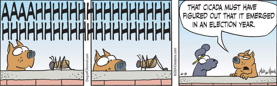 Dogs of C-Kennel for Apr 09, 2024