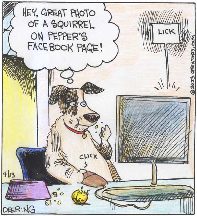 Strange Brew for Apr 13, 2023