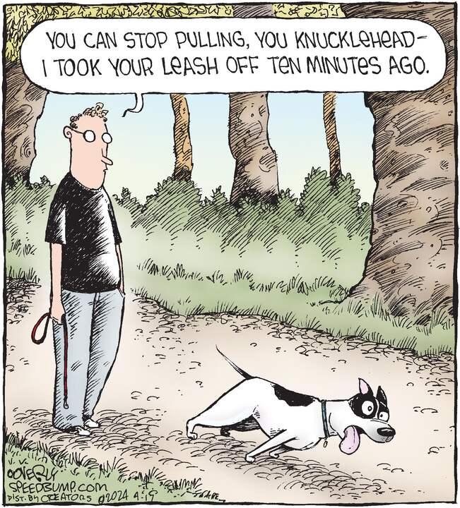 Speed Bump for Apr 17, 2024