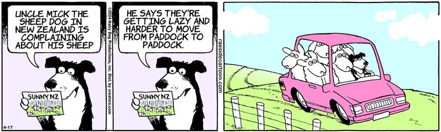 The Other Coast for Apr 17, 2024