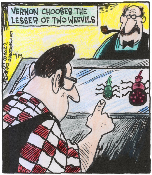 Strange Brew for Apr 19, 2022