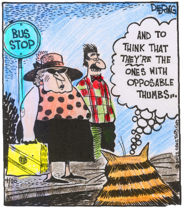 Strange Brew for Apr 20, 2022