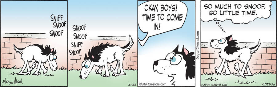 Dogs of C-Kennel for Apr 22, 2024