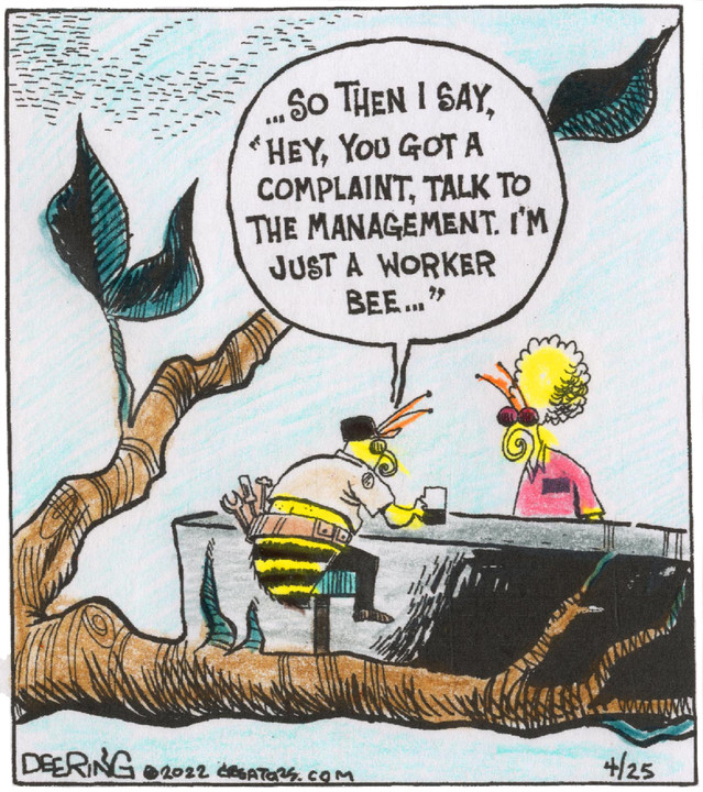 Strange Brew for Apr 25, 2022