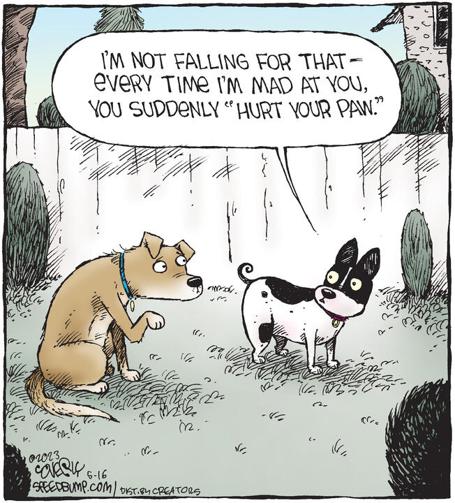 Speed Bump for May 16, 2023