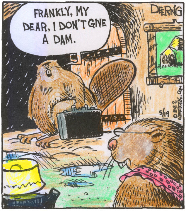 Strange Brew for May 19, 2022