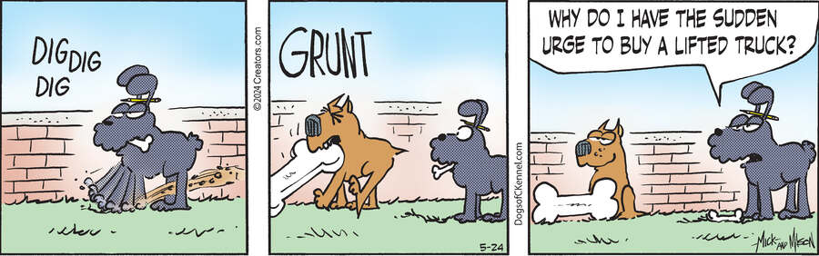 Dogs of C-Kennel for May 24, 2024