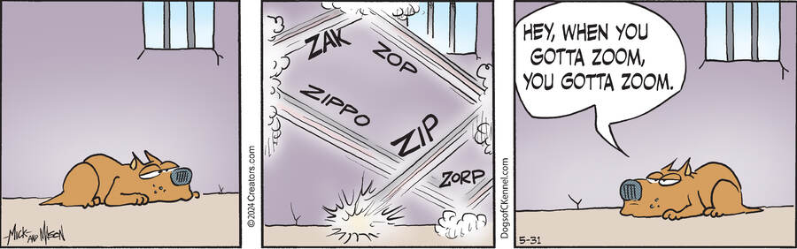 Dogs of C-Kennel for May 31, 2024